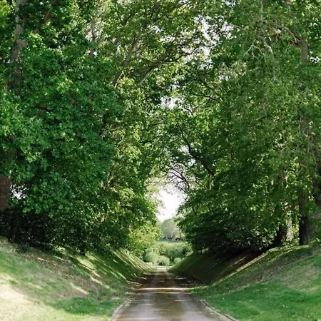 Le Bucher Du Chateau * Barbeville