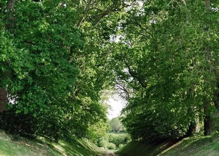 Le Bûcher Du Château * Barbeville