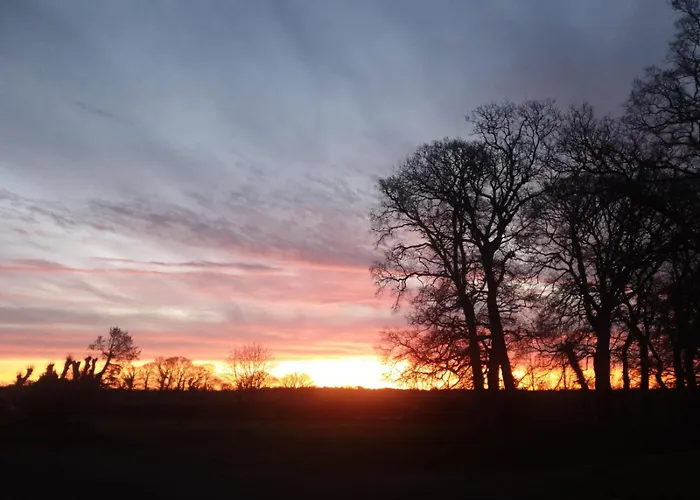 Le Bûcher Du Château Barbeville